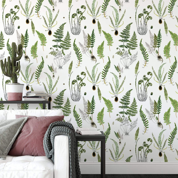 MUSE Wall Studio Ferns in White