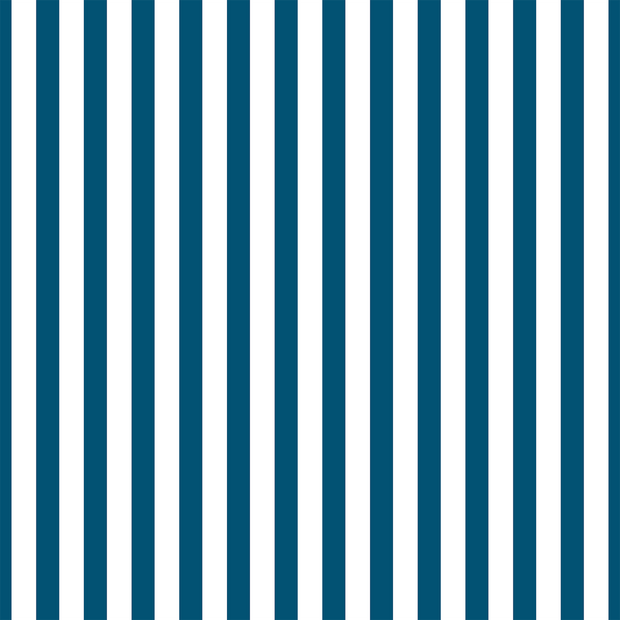 MUSE Wall Studio Blue and White Stripes