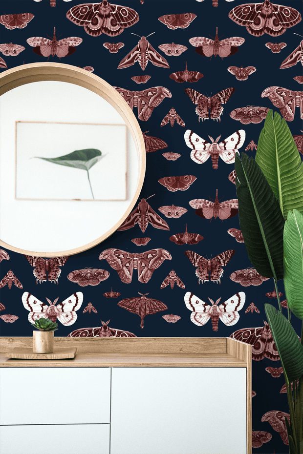 MUSE Wall Studio Moth Museum in Navy