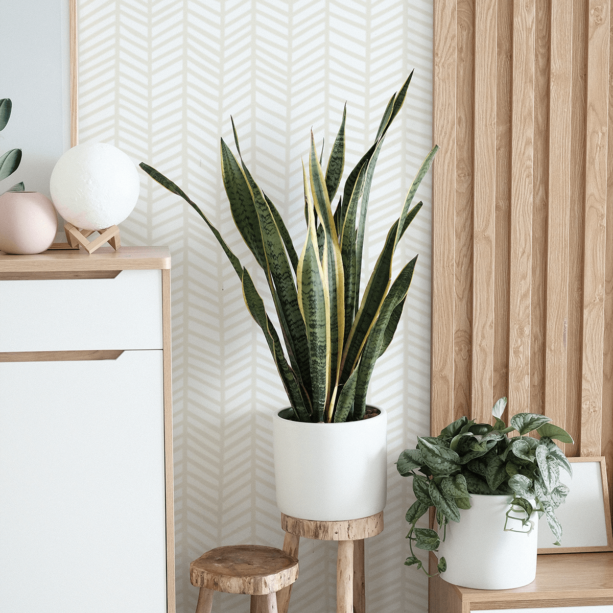 MUSE Wall Studio Warm Herringbone