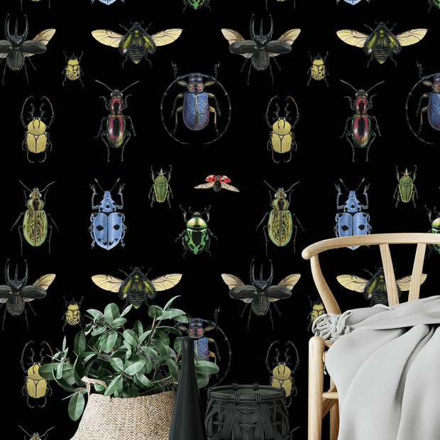 MUSE Wall Studio Natural Wonder Beetles in Black