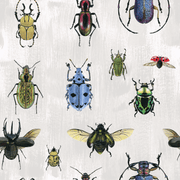 MUSE Wall Studio Natural Wonder Beetles in White