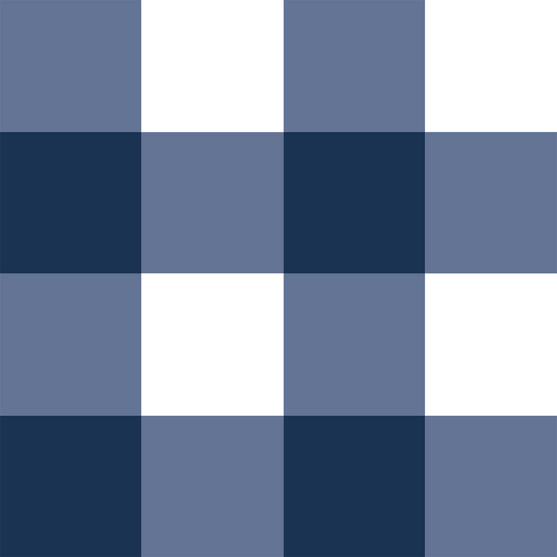 MUSE Wall Studio Navy Gingham
