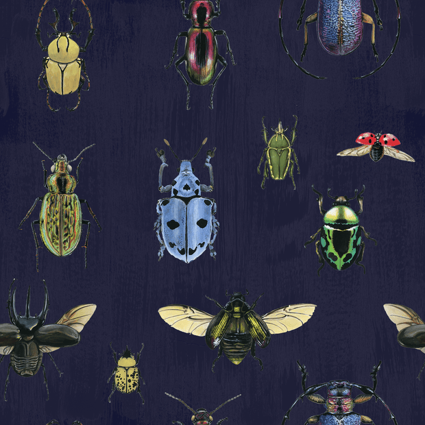 MUSE Wall Studio Natural Wonder Beetles in Navy