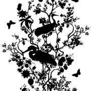 MUSE Wall Studio Silhouette Bird and Branch on White